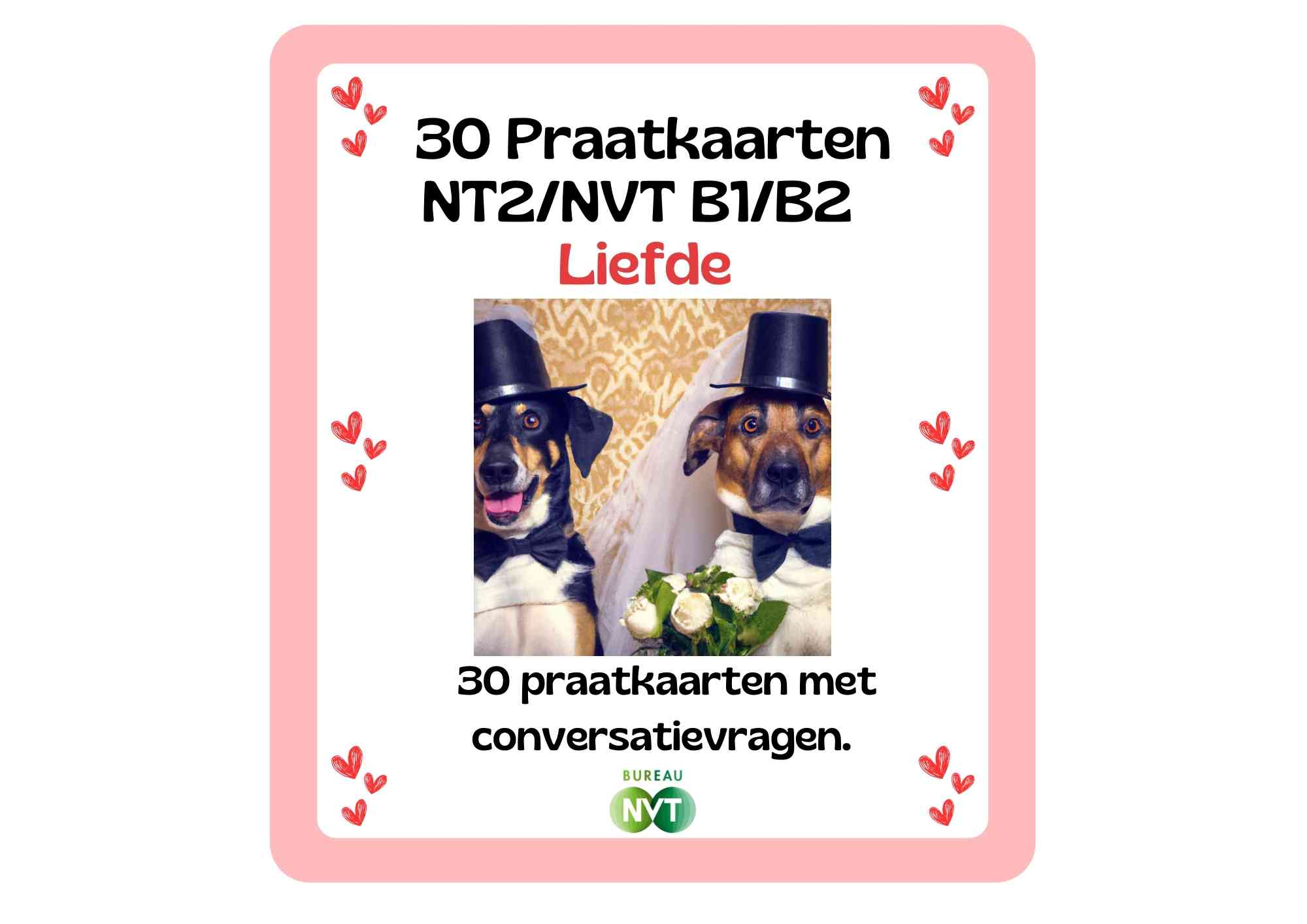 30 Praatkaarten NT2/NVT niveau B1/B2 Thema Liefde